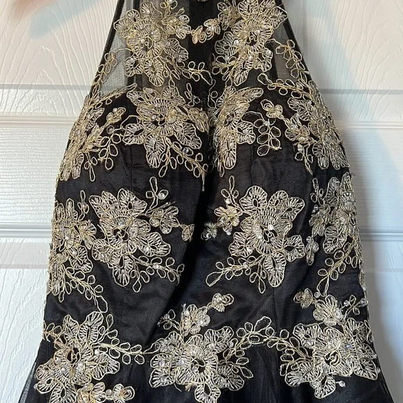 Bee Darlin Dress | Princess Halter Neck | Full Zipper Lined - Picture 3 of 5